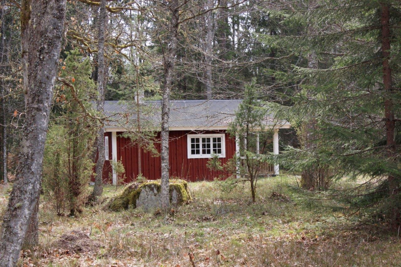 Aspen - Dein Ferienhaus in Südschweden